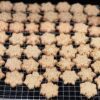 Gluten and Grain Free Cheddar Apple Treats - Image 2
